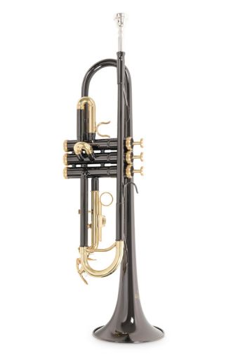 Trumpet ROY BENSON TR-101 black 