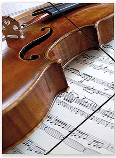 Папка с цигулка  и ноти 