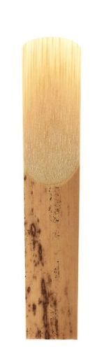 Rico Clarinet reed size 3,5