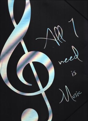 ELASTIC FOLDER ''ALL I NEED IS MUSIC'' SILVER