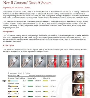 Larsen Il Cannone 4/4 Violin Set medium Direct&Focused
