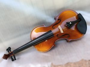 Violin HORA V200 Elite