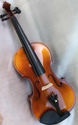 Violin HORA V200 Elite