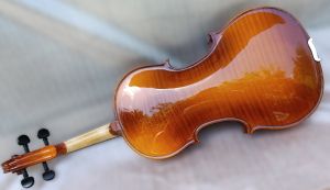 Violin HORA V200 Elite