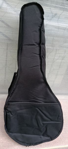 Portuguese mandola
