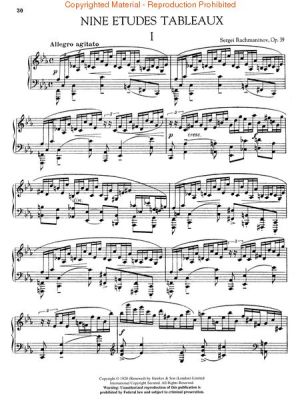 Rachmaninoff -  Etudes Tableaux, Op. 33 & 39