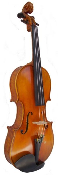 Camerton Master Violin, professional hand craftsmanship CVHH900  4/4