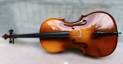 Cello HORA C100 Student