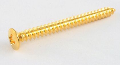 AP GS 0005-002 винтчета за плочка за гриф златни(4 броя )