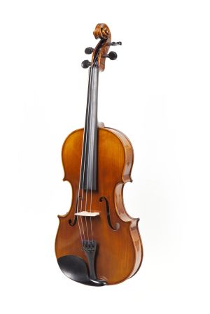 Camerton майсторска виола