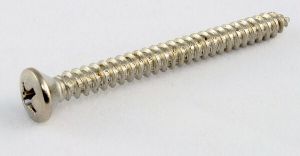 AP GS 0005-005 screws f. Neckline SS  (4pcs)