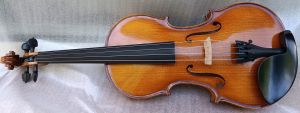 цигулка HORA V300 Professional Symphony